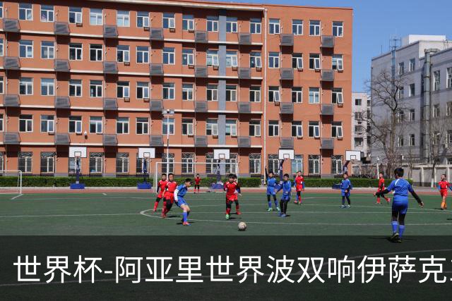 世界杯-阿亚里世界波双响伊萨克1射2传 瑞典5-1突尼斯